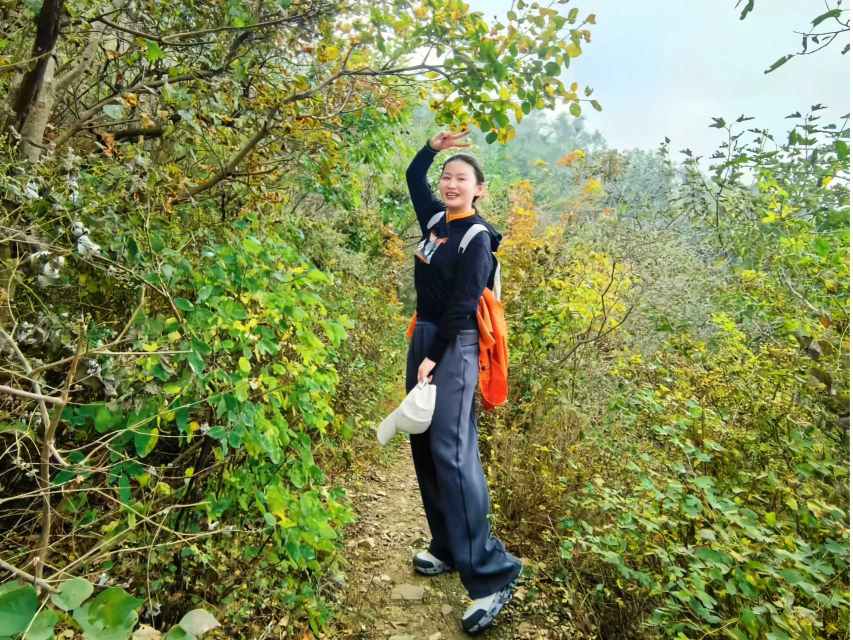 1983447990129291266.jpg 1983447990129291266.jpg